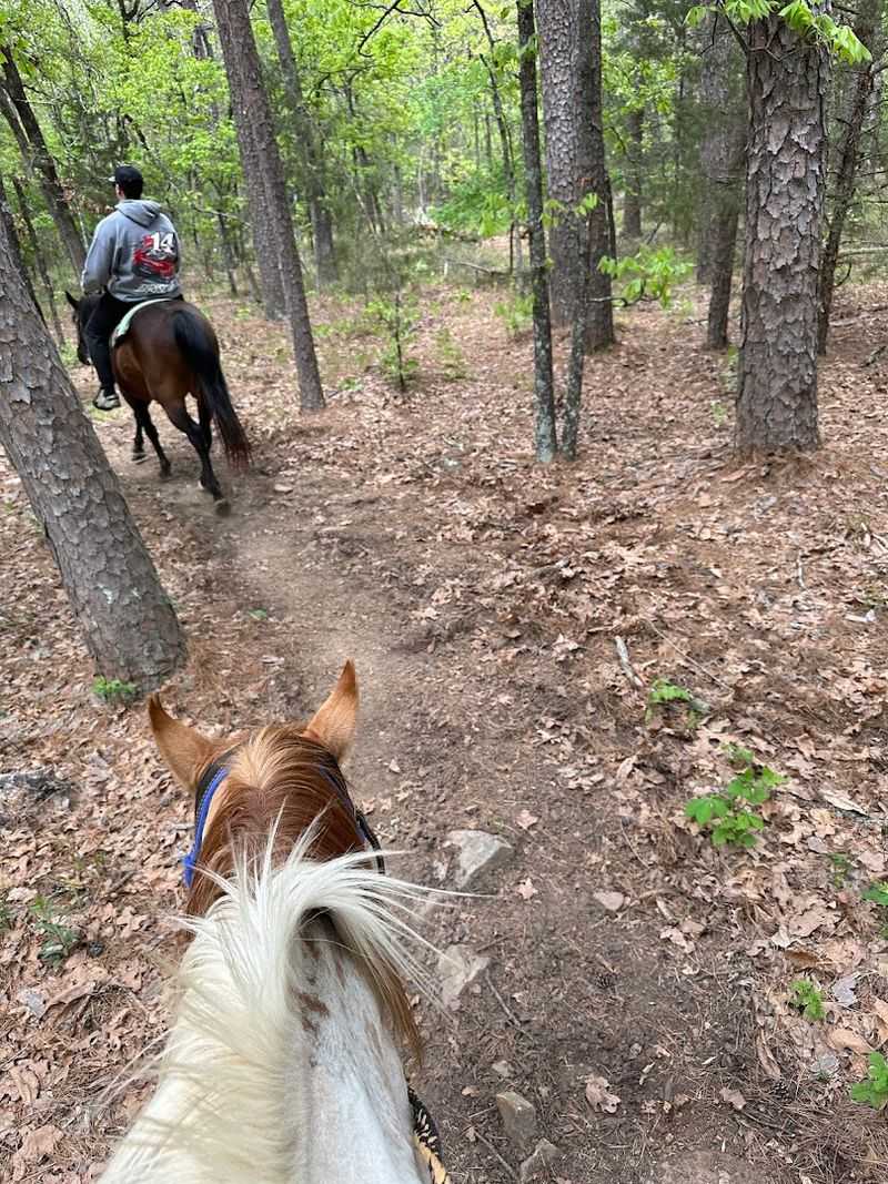The Patriot Trail Ride Experience