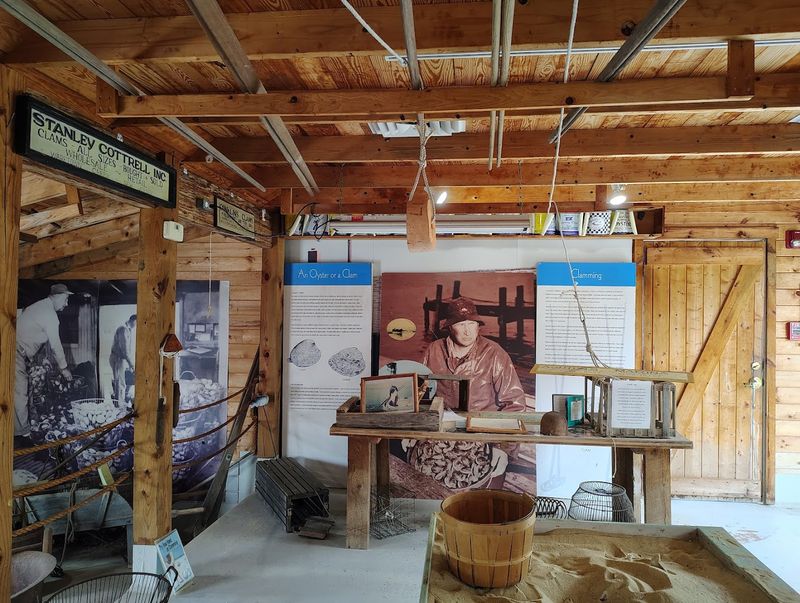 The Life on the Edge Exhibit: Where the Bay Tells Its Own Story