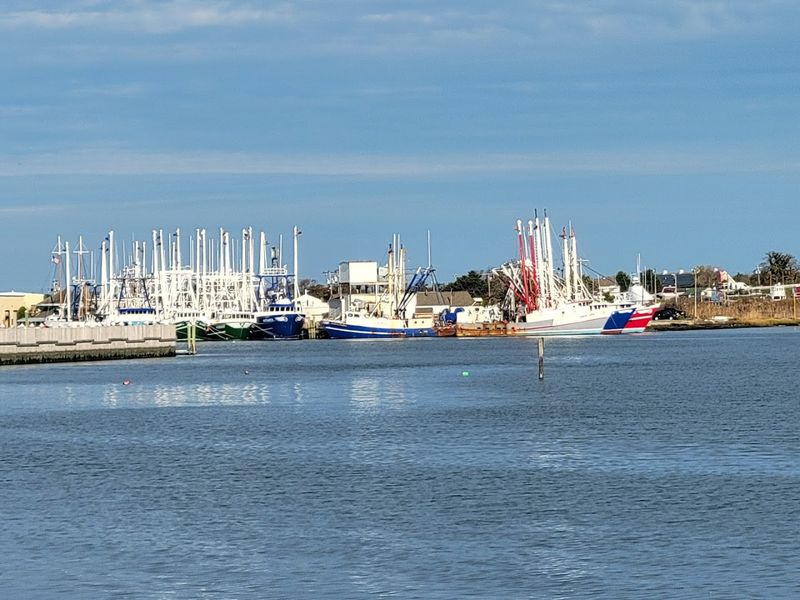 Cape May Harbor, Cape May