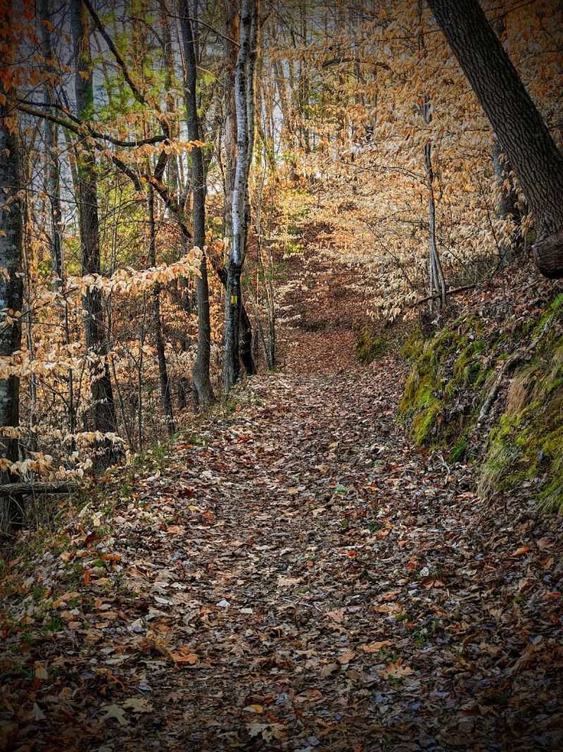 Fairy Stone State Park, Stuart