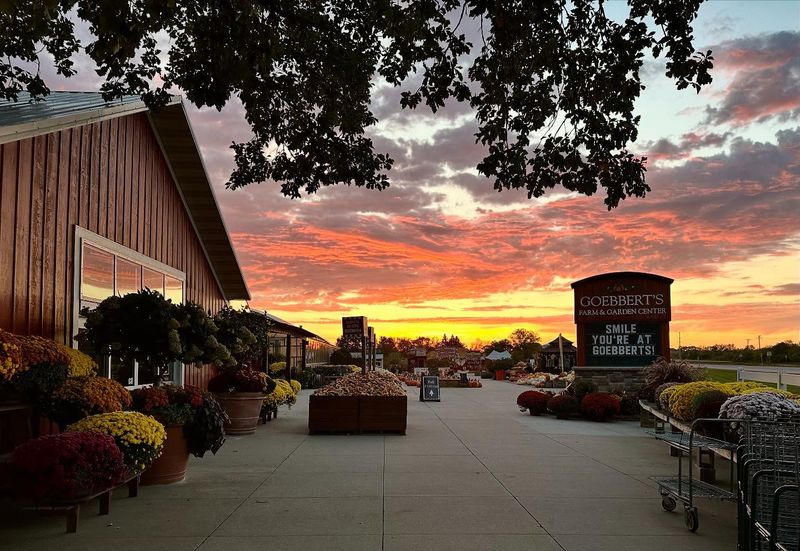 Spring Season Dates And Planning Notes That Help You Time It Right