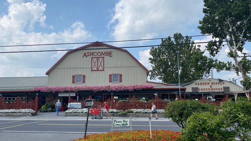 Hours And Timing Tips So The Café Still Fits Your Plant Run
