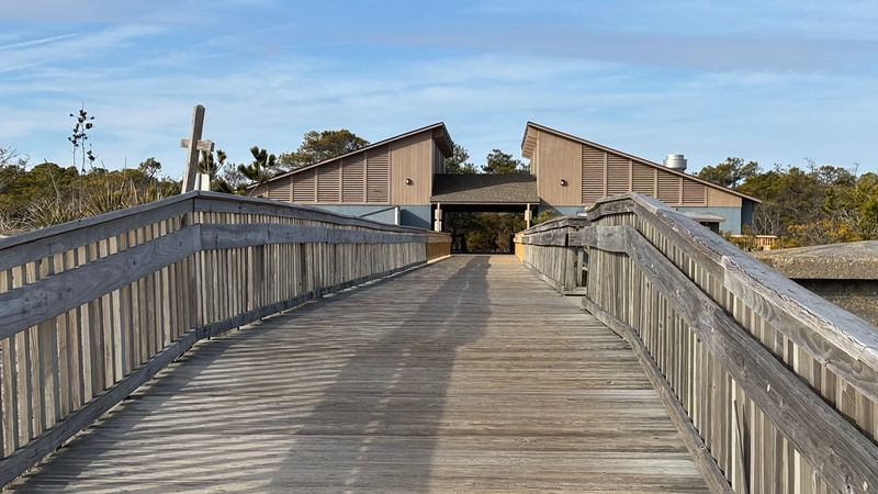 Timing Tips For Parking, Entry, And A Smooth Bay Day