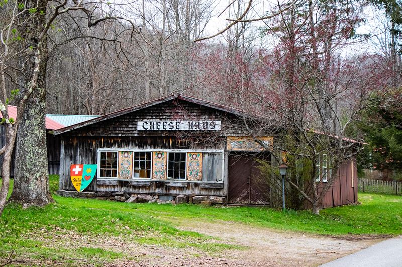 Timing Tips For A Smooth Visit When Events Bring Extra People