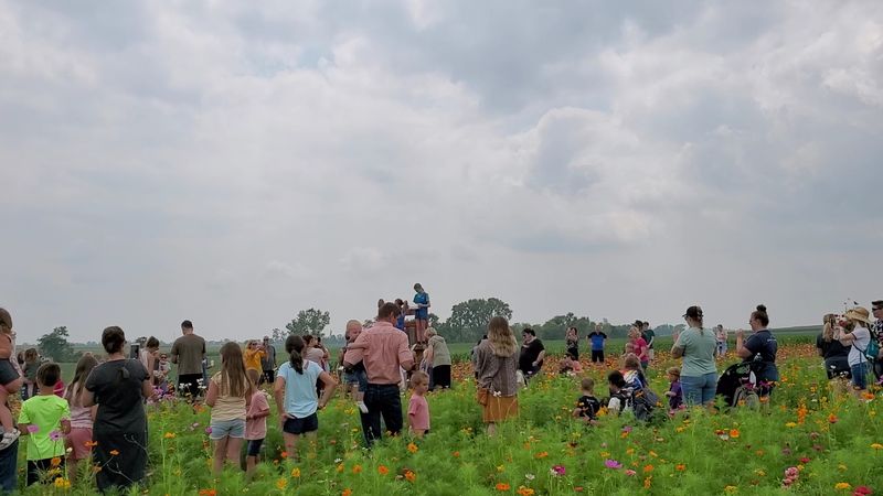 Easy Walking Plan So You Cover More Without Rushing