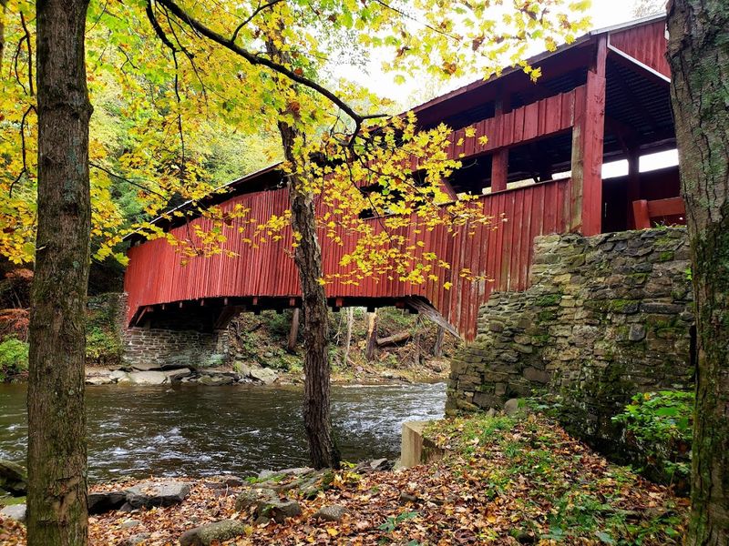 Quiet Creek Crossings Give Each Bridge Its Own Little Scene