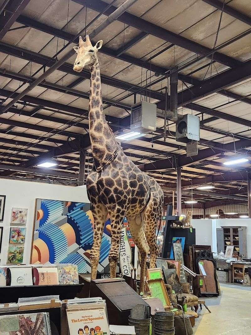 Haul-Out Logistics For Large Finds And Delivery Options