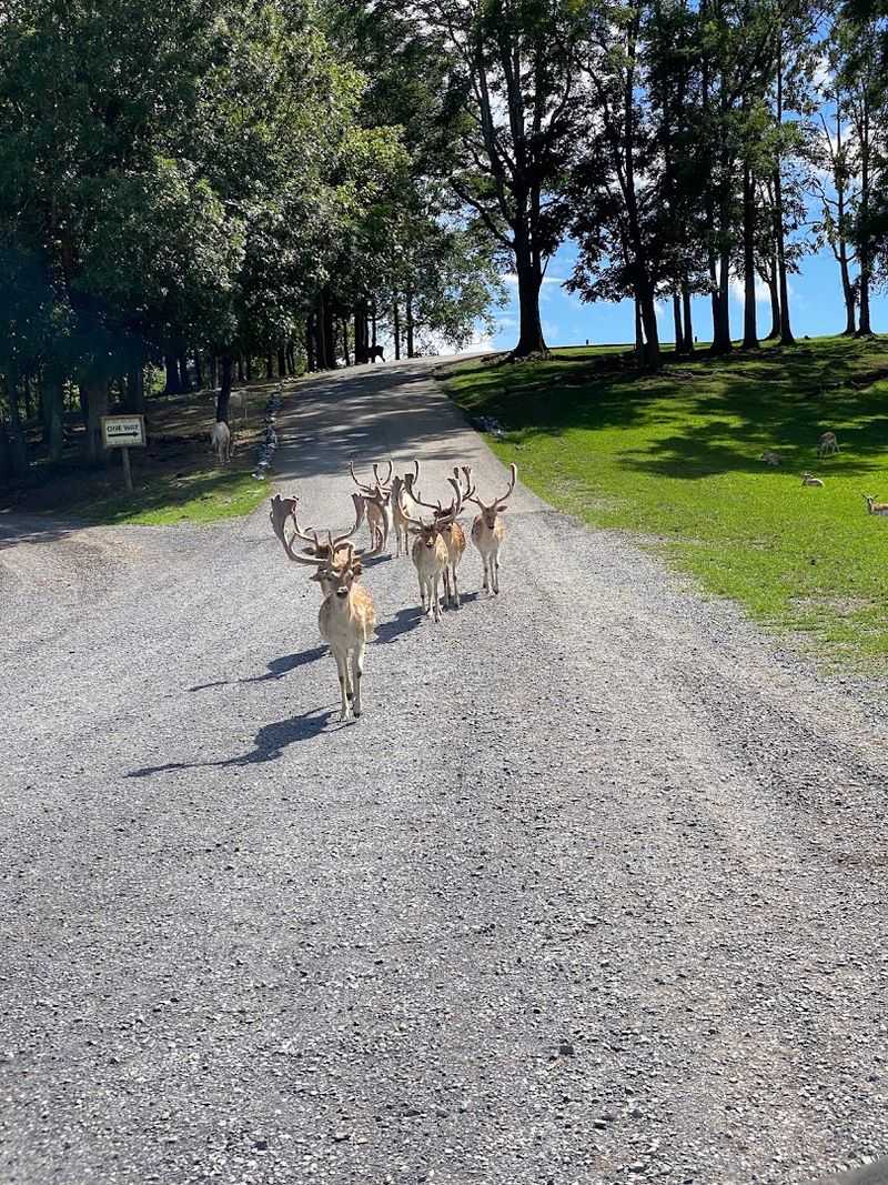 Location and Planning Details