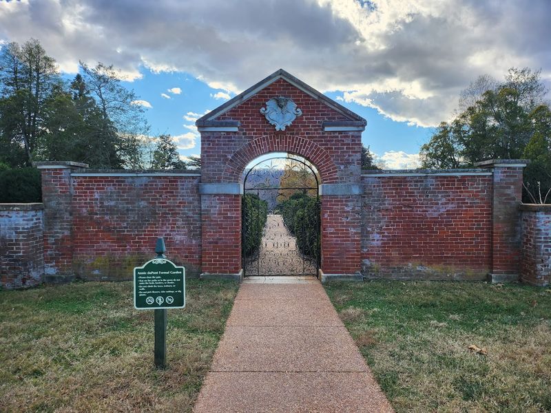 The Science Of Really Old Trees