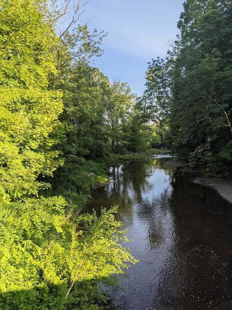 The Scenic Drive Getting There