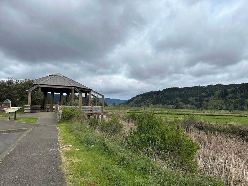 Visiting With Kids, Dogs, and Large Groups