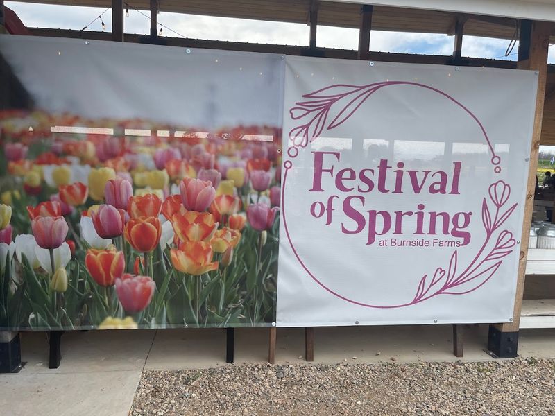 Plan Your Visit: Everything You Need to Know Before You Go