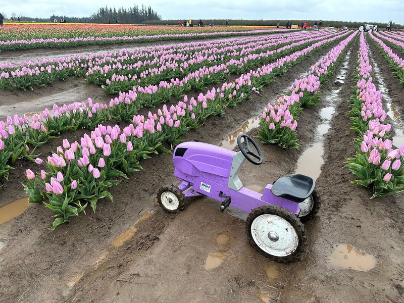 What to Wear and Pack for a Spring Day at the Farm