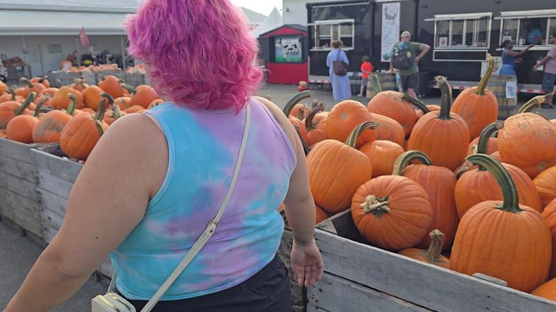 The Corn Maze That Keeps Everyone Guessing