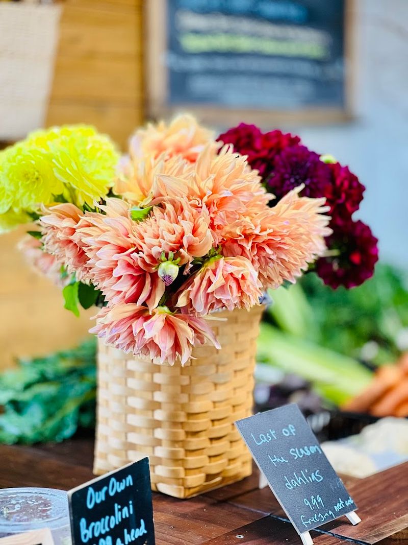 The Floral Bouquets and Cut Flower Selection