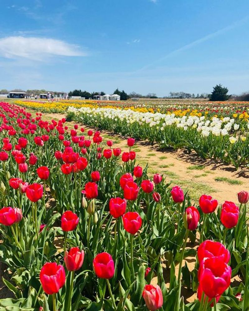 The Layout of the Farm and How to Explore It