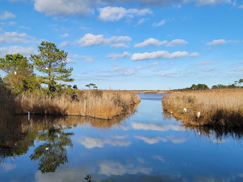 Photo Spots That Hit Best In Soft Spring Light