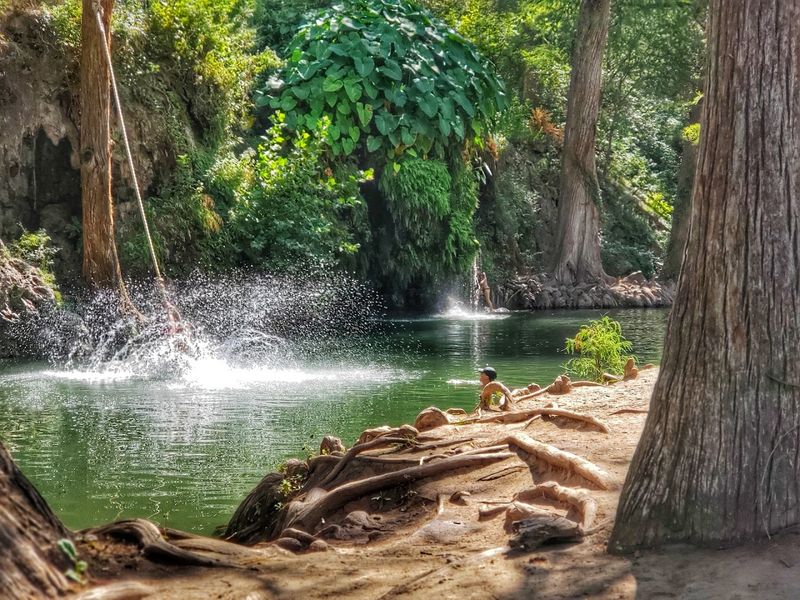 Wildlife, Water Creatures, and Living Alongside Nature