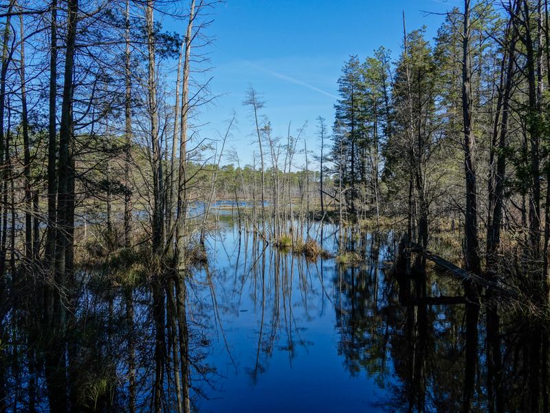 Fishing at a Pond That Rewards Patience