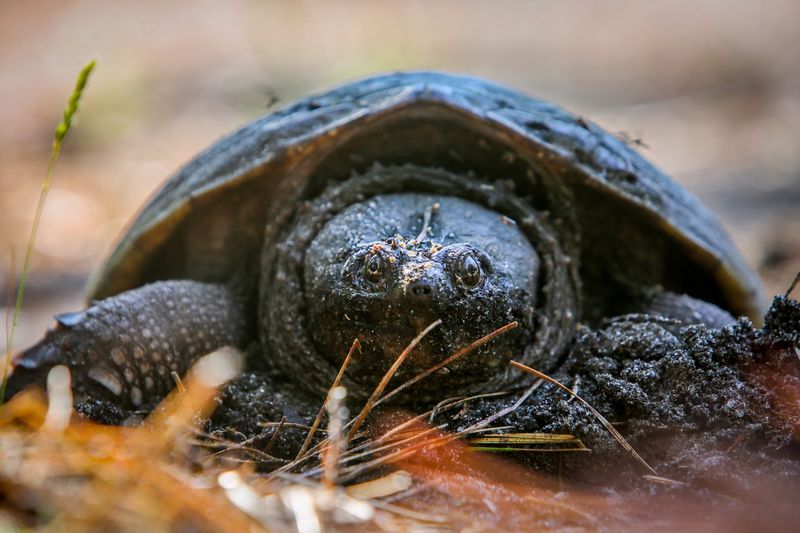 Bringing the Kids Along Is Always a Good Idea