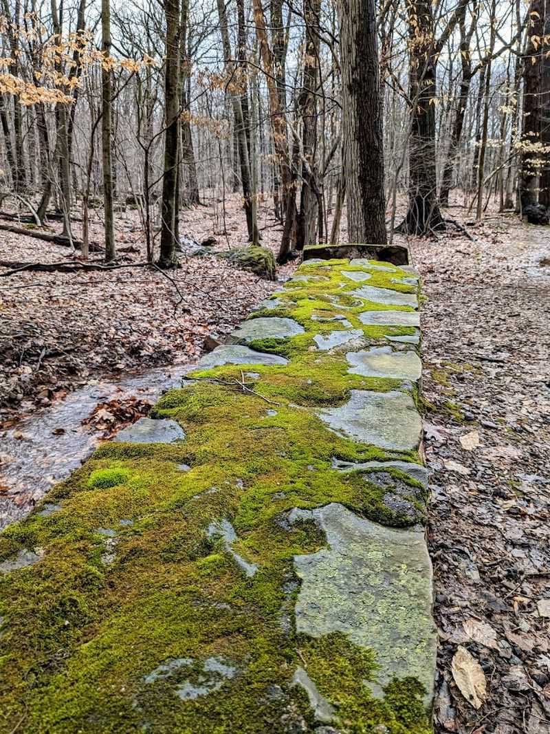 Wildlife and Nature: What Roams the Reservation Beyond the Overlook