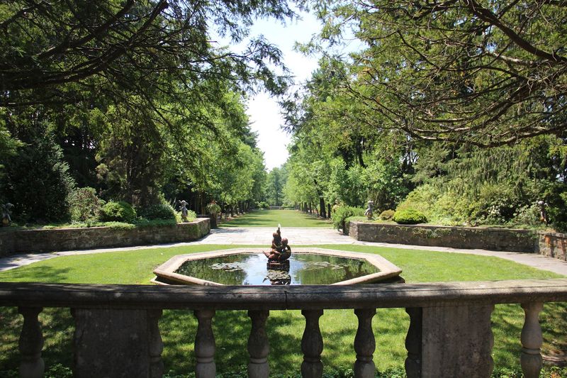 Birdwatching Trails That Reward the Patient Visitor