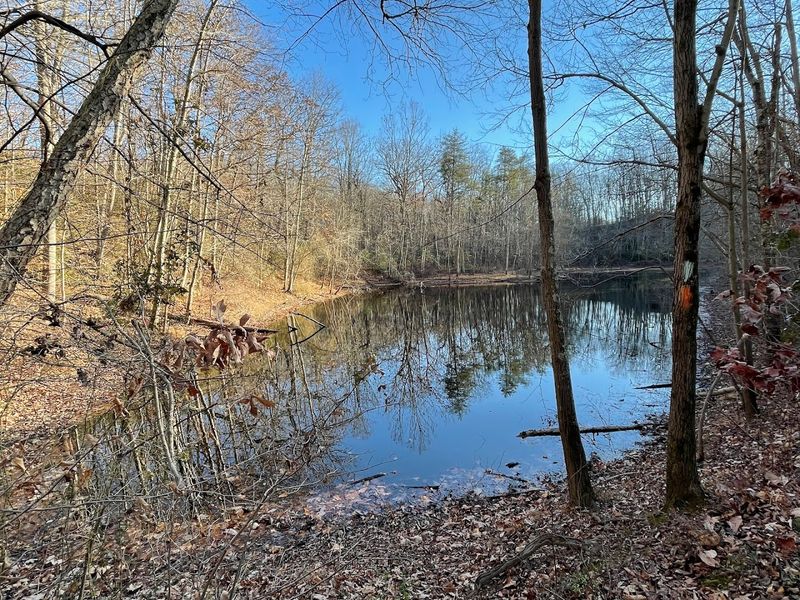 Seasonal Magic: Why Every Month Hits Different Here