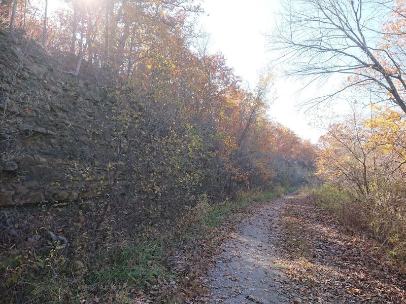 Getting There and What to Know Before You Go