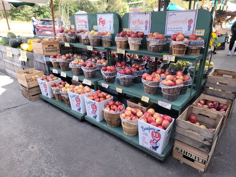 A Westminster Stop That Feels Part Errand, Part Outing