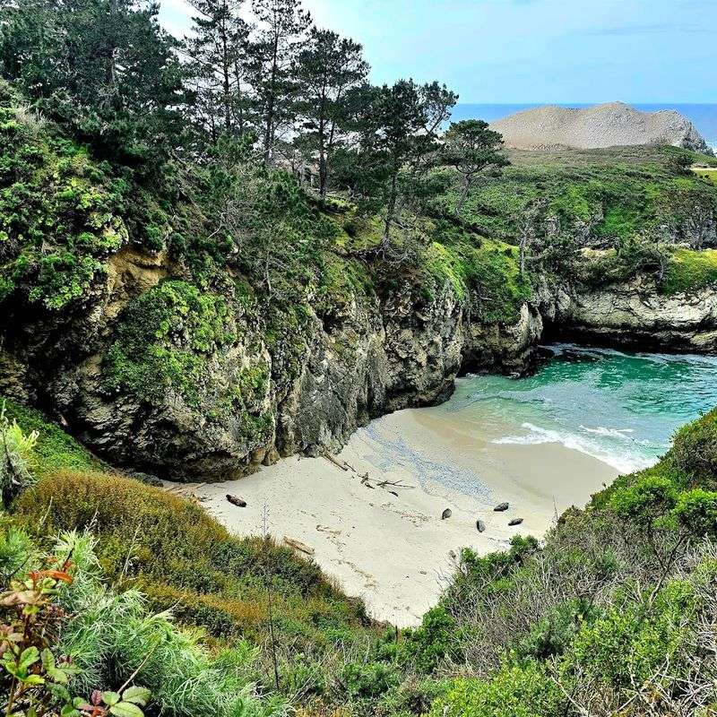 Point Lobos State Natural Reserve (Special-Access Reservations Like Diving)