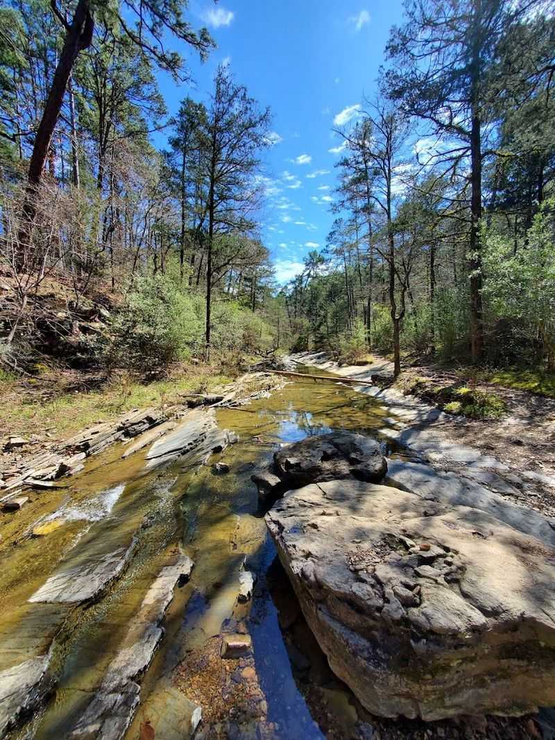 Beaver Creek Runs Right Beside You for Most of the Hike