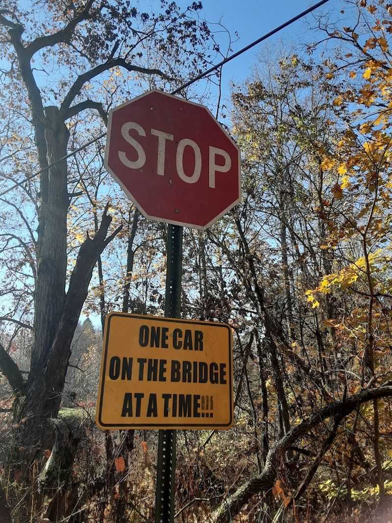 Timing Tips For Fewer Cars And Better Light On The Woodwork