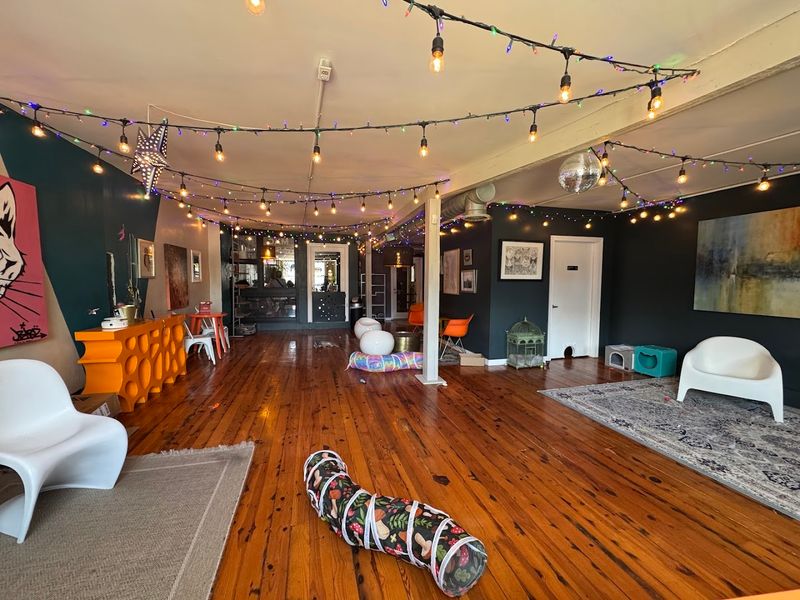 The Kind Of Charlotte Stop That Instantly Lifts Your Mood