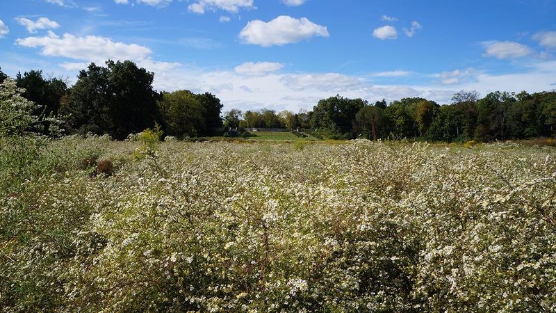 Duke Farms (Habitat Lane)