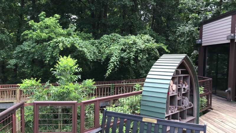 Practical Tips Make or Break Your Visit