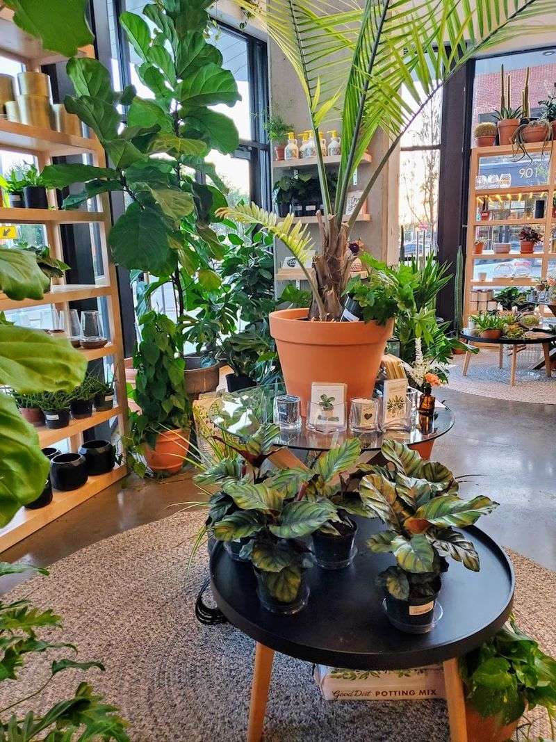 How to Actually Visit and What to Expect