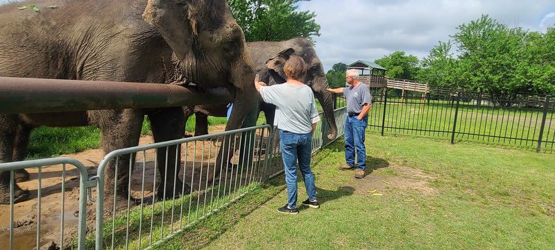 The People Behind the Elephants Make All the Difference