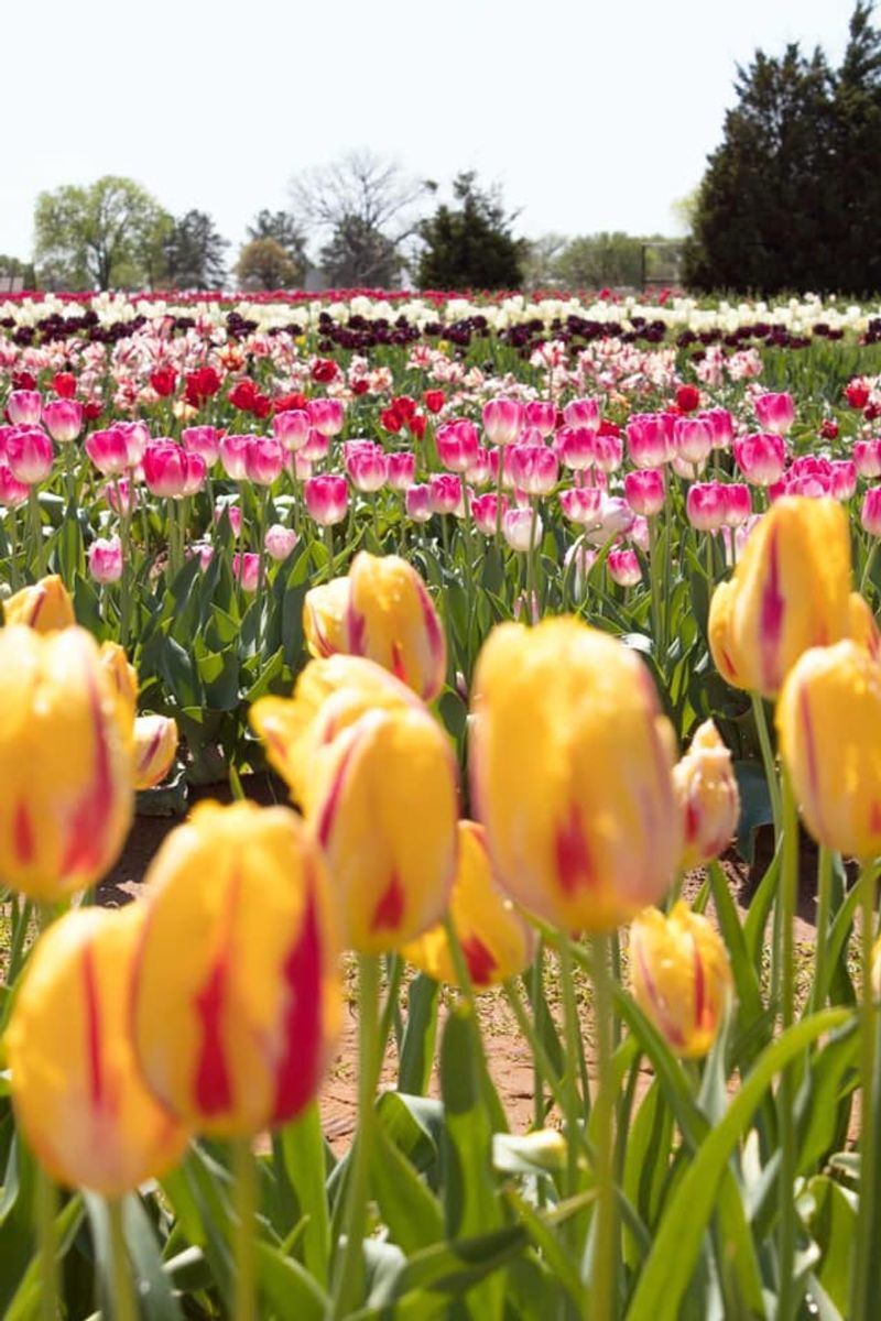 Photography Opportunities That Feel Almost Unfair