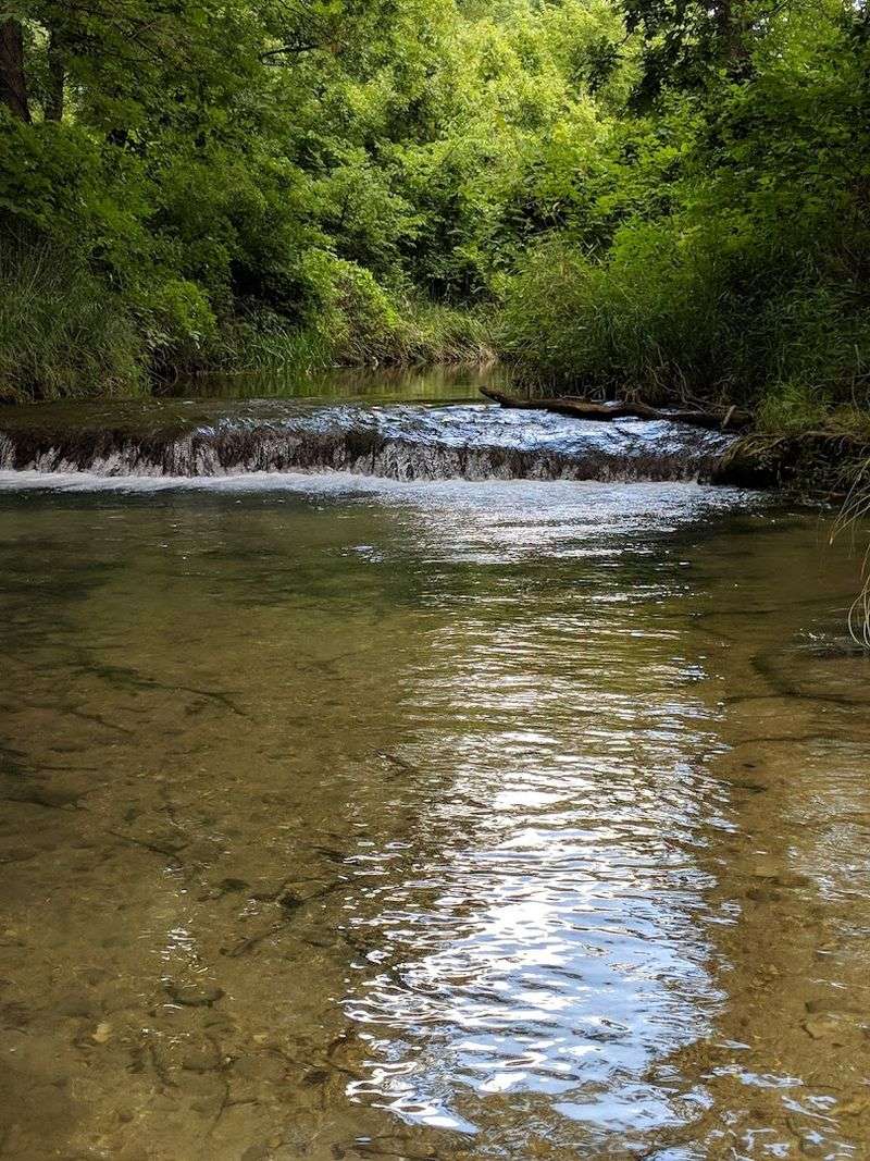 Why Travertine Creek Stays With You Long After You Leave