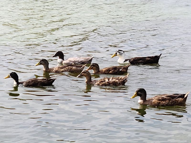 Why People Keep Coming Back Year After Year