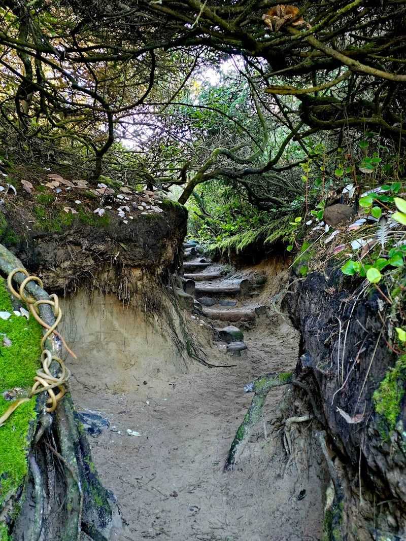 Why Hobbit Beach Trailhead Stays With You Long After You Leave