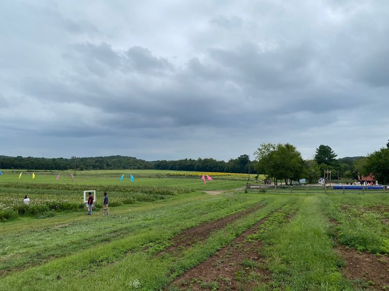 Getting There and Finding Burnside Farms