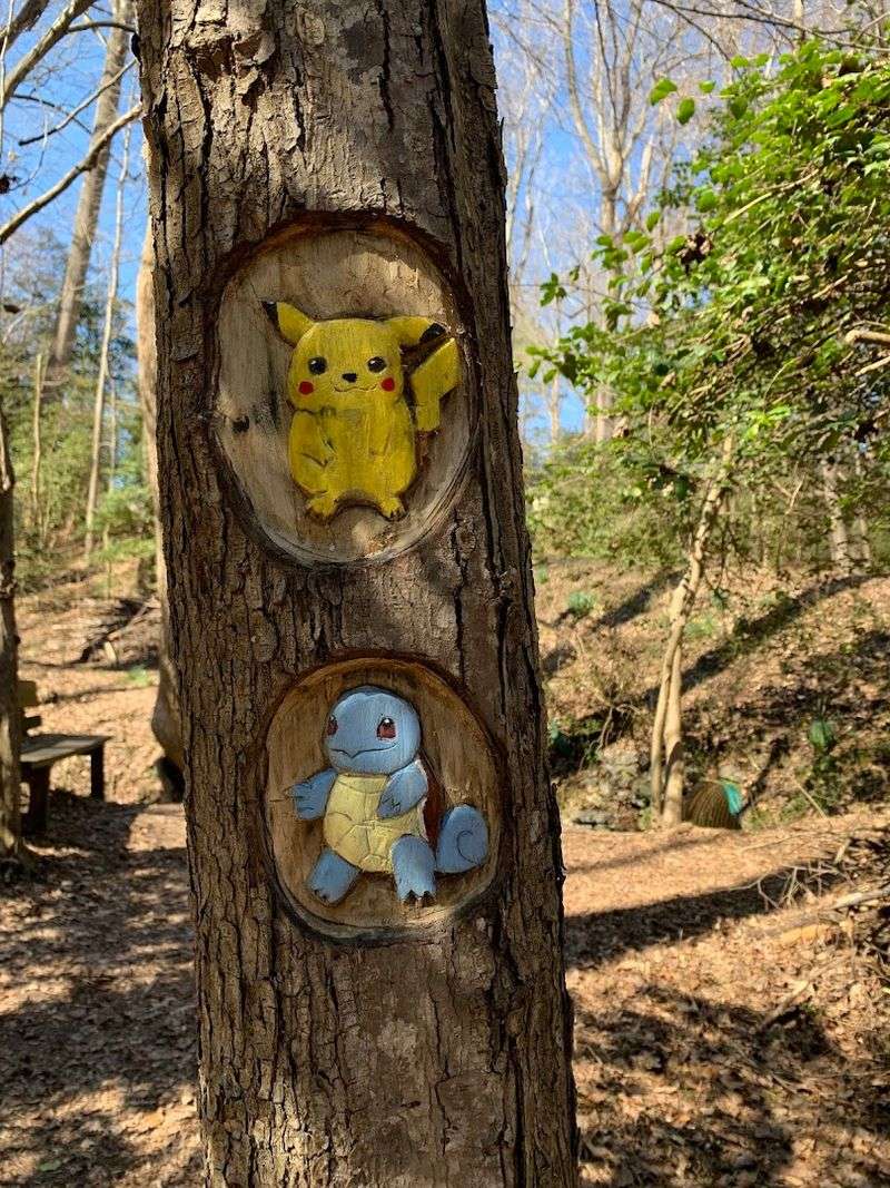 Why This Virginia Trail Deserves a Spot on Every Bucket List