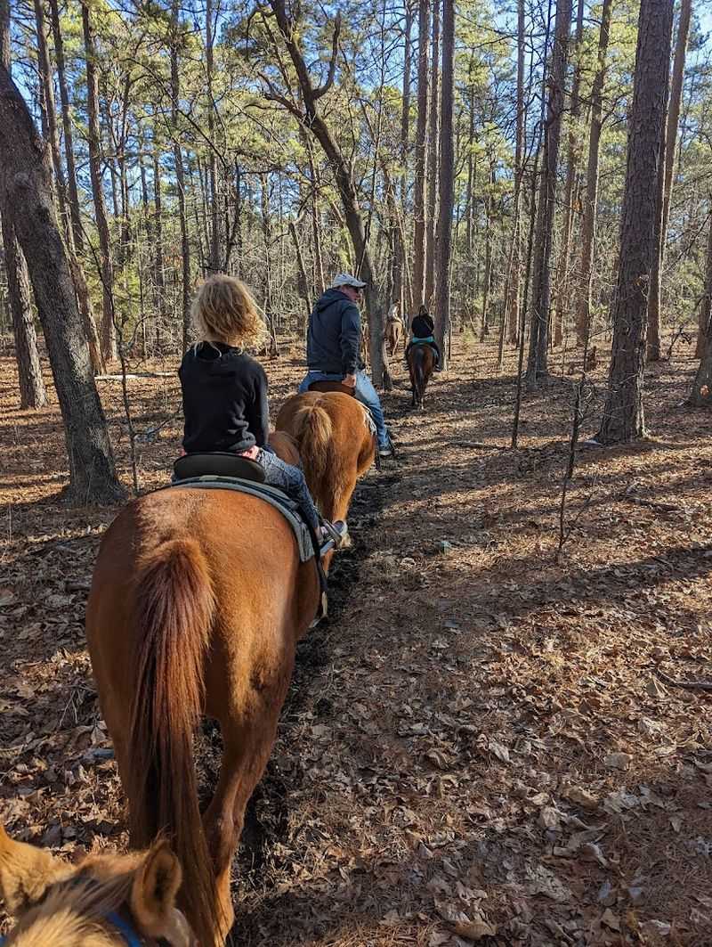 Why Robbers Cave Stables Stays With You