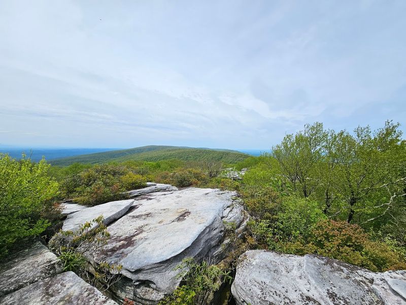 Seasonal Highlights: When to Visit for the Best Experience