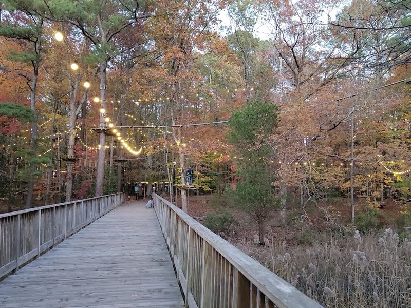 Why This Park Deserves a Permanent Spot on Your Virginia Bucket List