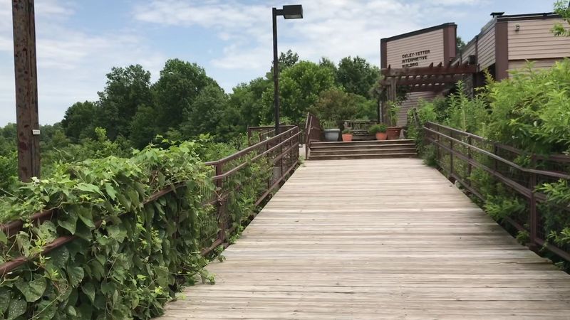 Free Discovery Walks Add a Whole New Layer