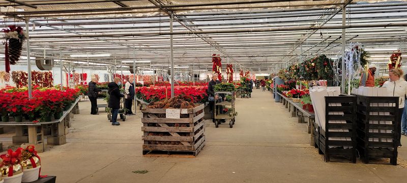 Cash and Checks Only: The Policy That Keeps Things Old School