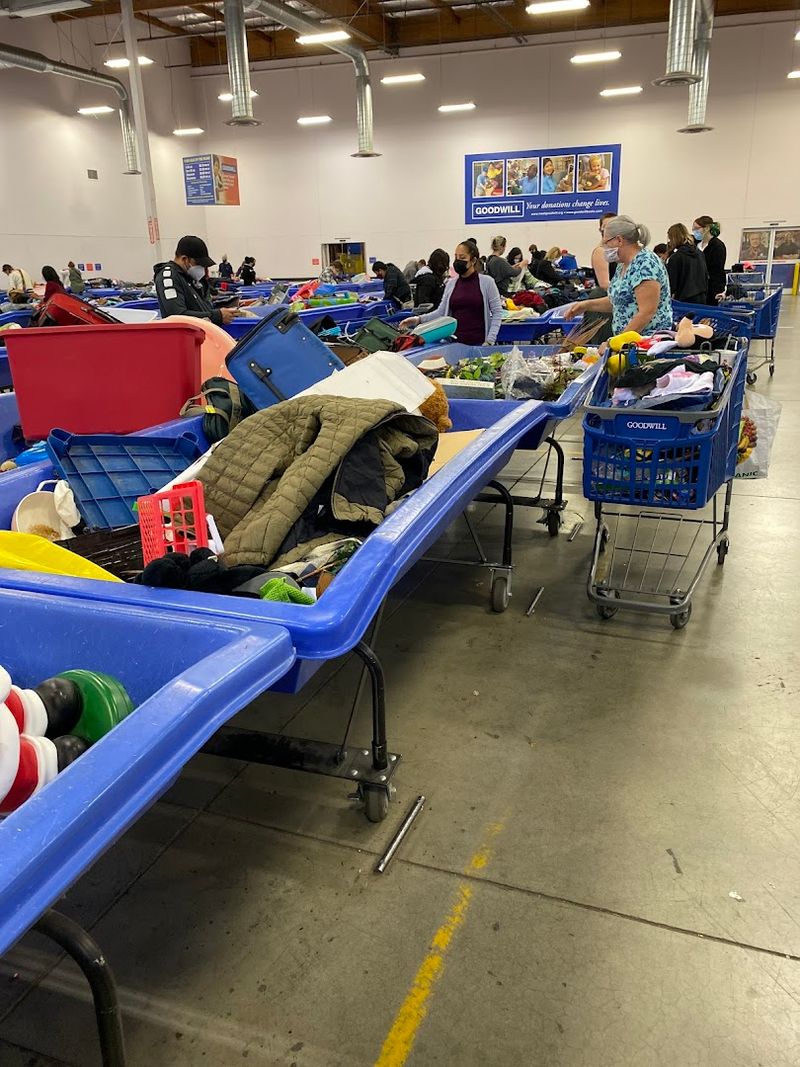 What You Can Actually Find in the Bins