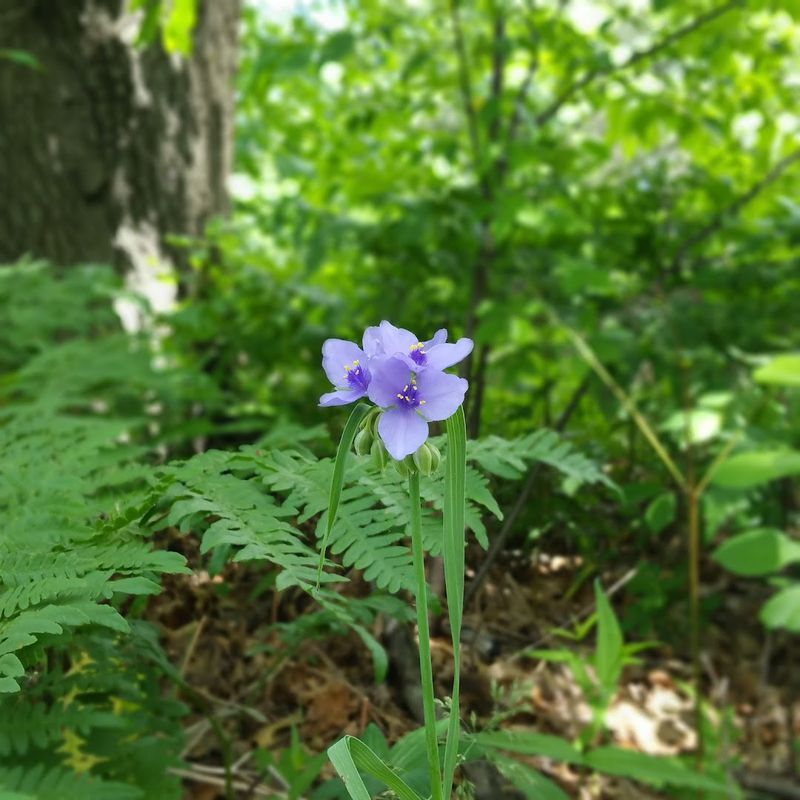 Over 300 Plant Species and 160 Bird Species Call This Preserve Home